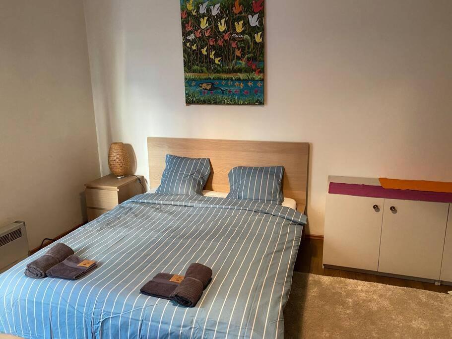 Opera Apartment 2 With Wifi & Tv Sofya Dış mekan fotoğraf